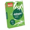 RISMA 250FG VERDE INTENSO A4 160G REY ADAGIO