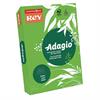 RISMA 500FG VERDE INTENSO A3 80G REY ADAGIO