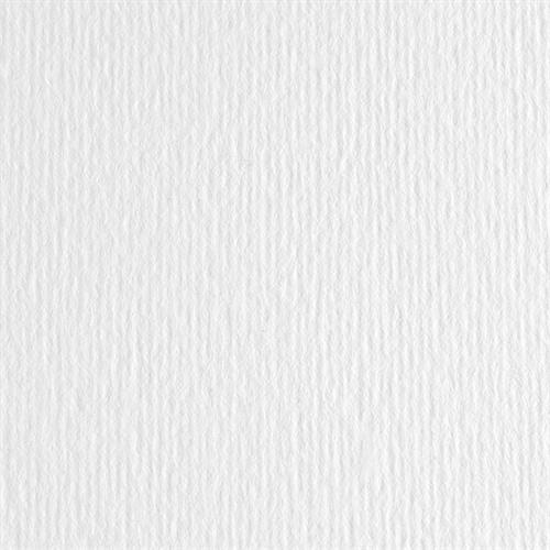 CF.20 CARTONCINI ELLE ERRE 220g 50X70 BIANCO